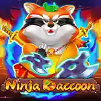 Ninja Raccoon