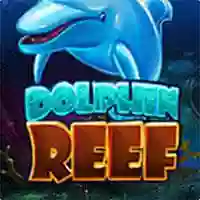 Dolphin Reef