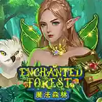 Enchanted-Forest