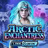 Arctic Enchantress™