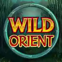 Wild Orient