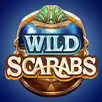 Wild Scarabs