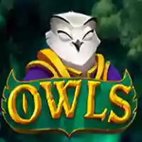 Owls