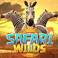 Safari Wilds